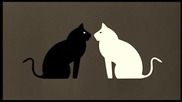 Goran Bregovic - Black Cat White Cat - (Audio)