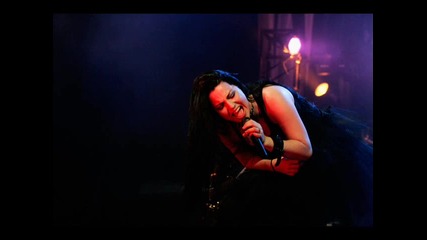 Evanescence - Weight Of The World (превод)