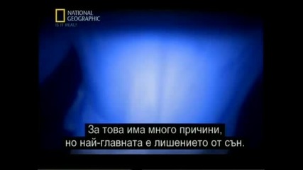 Is it real? - Убийства насън - National Geographic + Бг sub част1/2