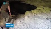 Хищникът, издирван в Шуменско, може да е мигрирал от Унгария или Сърбия