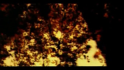 Burcu Gunes - Ask Yarasi