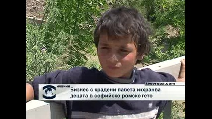 Цигани въртят бизнес с крадени павета 