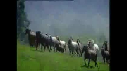 Циганско сърце