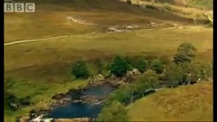 Dangerous wild animals & protecting the public - Moose in the Glen - Bbc 