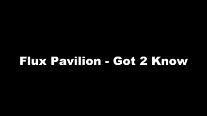 Flux Pavilion - Got 2 Know [hq]