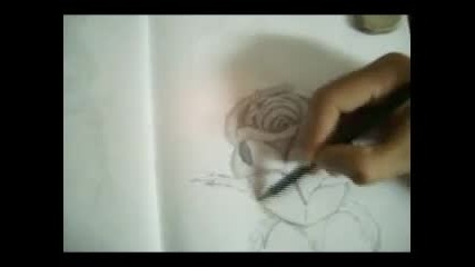 Draw a Rose 