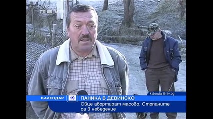 Мистерия! Овце абортират масово в Девинско, стопаните са в невидение 