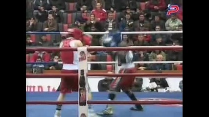 Четири Победи За Българските Боксьори