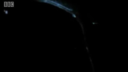 Amazing and wierd creatures exhibit bioluminescence - Blue Planet