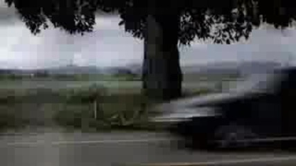Johnnie Walker - Tree 