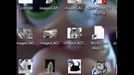 my Wolfquest
