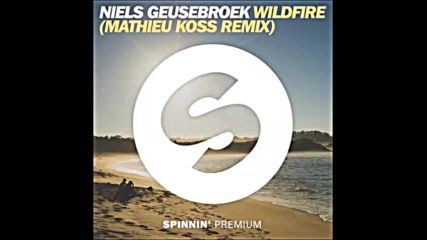 *2016* Niels Geusebroek - Wildfire ( Mathieu Koss remix )