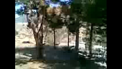 Рали Твърдица 2009