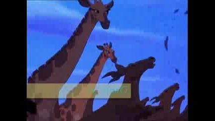= Цар Лъв 2 =