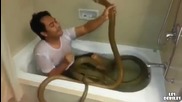 Човек с две змии във ваната!
