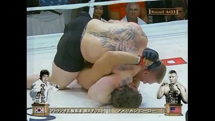 Mma - Brock Lesnar vs Min Soo Kim