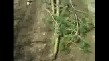 Mov01945