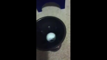 Cuponk shot