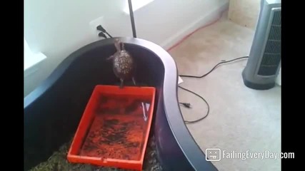 Ще се спукаш от смях - Daily Fails Compilation 39