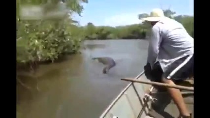 Бразилец хваща гигантска анаконда за опашката