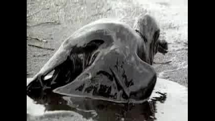 Linkin Park - What Ive Done