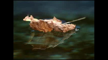 Ofra Haza - Good bye my friend Shalom 