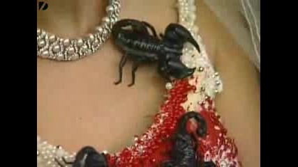 Halloween Сватба В Тайланд