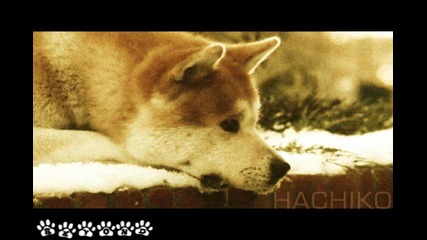 Хачико [ Ost ] - Hachiko Runs Away
