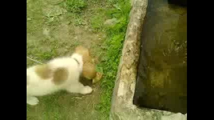 My Dog!!!