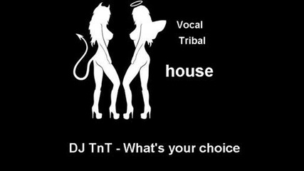 Dj TnT - Whats Your Choice.wmv