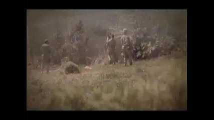 12012 - The Pain Of Catastrophe