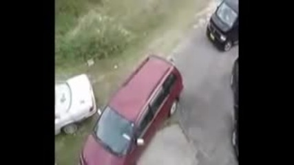 как да изгоним котка от капак на кола смях