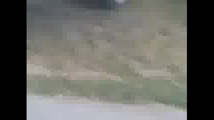 bati6nica