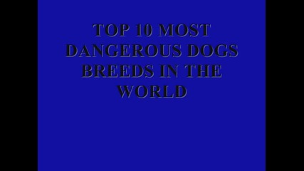 Топ 10 най-опасни кучета