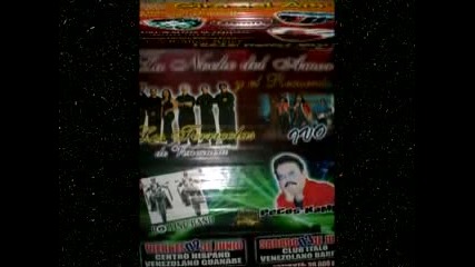 Los Terricolas De Venezuela - Necedad