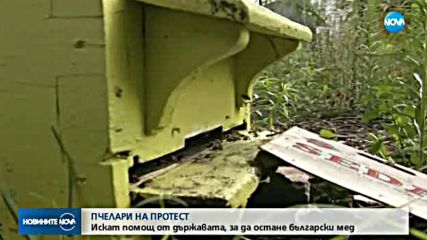 Новините на NOVA (31.10.2017 - обедна емисия)
