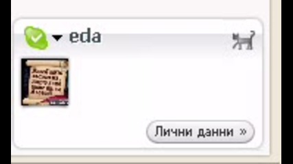 Скайп тикове