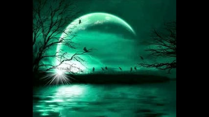 jerry ropero - nite and day
