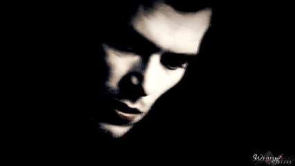 Klaus & Caroline _ Where The Wild Roses Grow