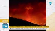 Евакуация на село Плоски заради голям пожар