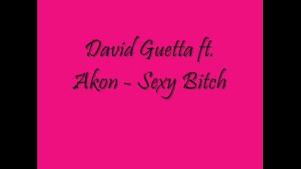 David Guetta ft. Akon - Sexy Bitch 
