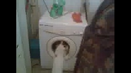 Котка И Пералня!