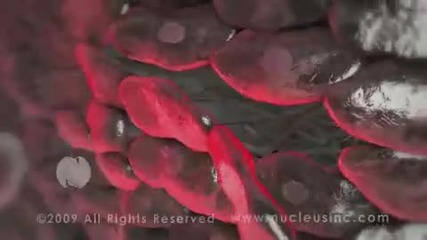 3d анимация - Медицинскo ядро