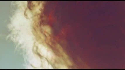 Wolfmother - New Moon Rising