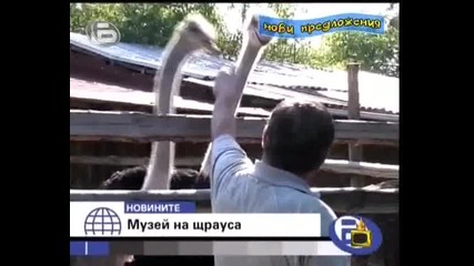 Господари на ефира *16.10.2009* *hq* 