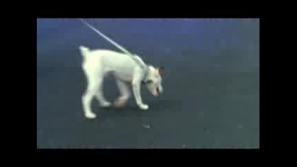 Mariah Carey - Bye Bye
