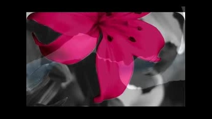 Vasilis Batis - Htes vradi tromaxa