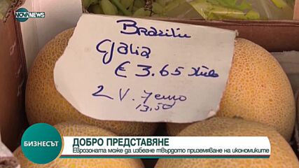 Проучване: Еврозоната може да избегне твърдото приземяване на икономиките