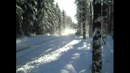 Rally Sweden 2010 clip 3