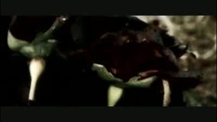 T.i. Ft. Justin Timberlake - Dead And Gone